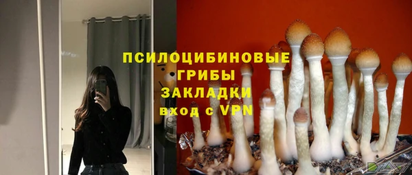 индика Иннополис