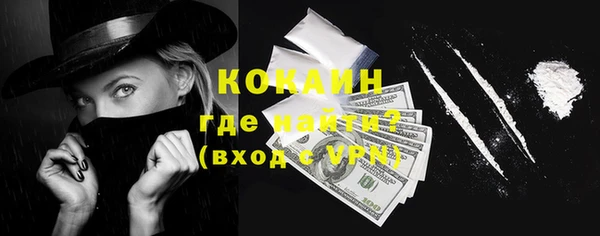 индика Иннополис
