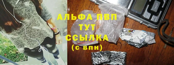индика Иннополис