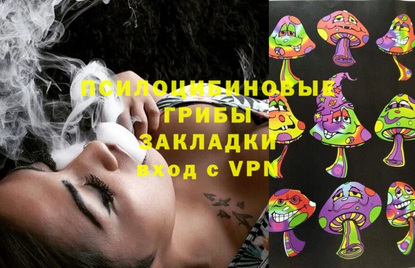 таблы Инта