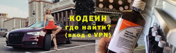 индика Иннополис